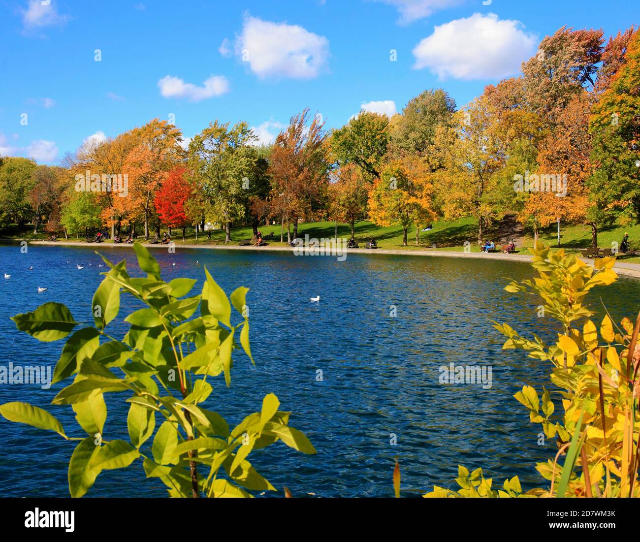 Canada, Québec, Montréal, Parc Lafontaine, Banque D'Images