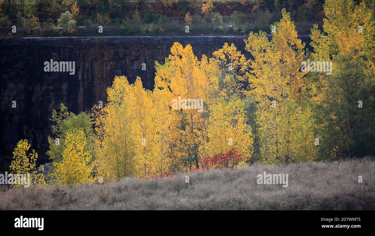 Canada, Québec, Montréal, Parc Frdric-Back, couleurs d'automne, Banque D'Images