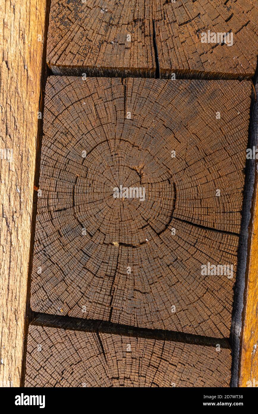Détail d'une table en bois à la réplique du fort slave vieux de 1,000 ans à Raddusch, Forêt d'Oberstreewald Spree, Brandebourg, Allemagne de l'est, Europe Banque D'Images