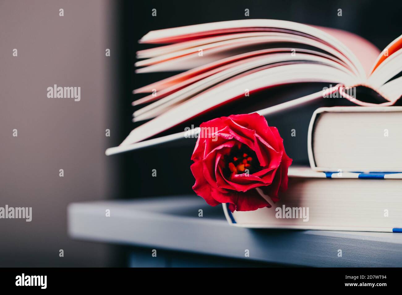 Eustoma rouge ou lisianthus ou fleur gentiane de prairie et livres sur fond sombre Banque D'Images