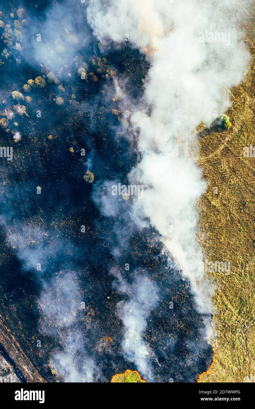 Feu de forêt, herbe sèche brûlante et arbres, catastrophe naturelle, vue aérienne, image verticale. Banque D'Images