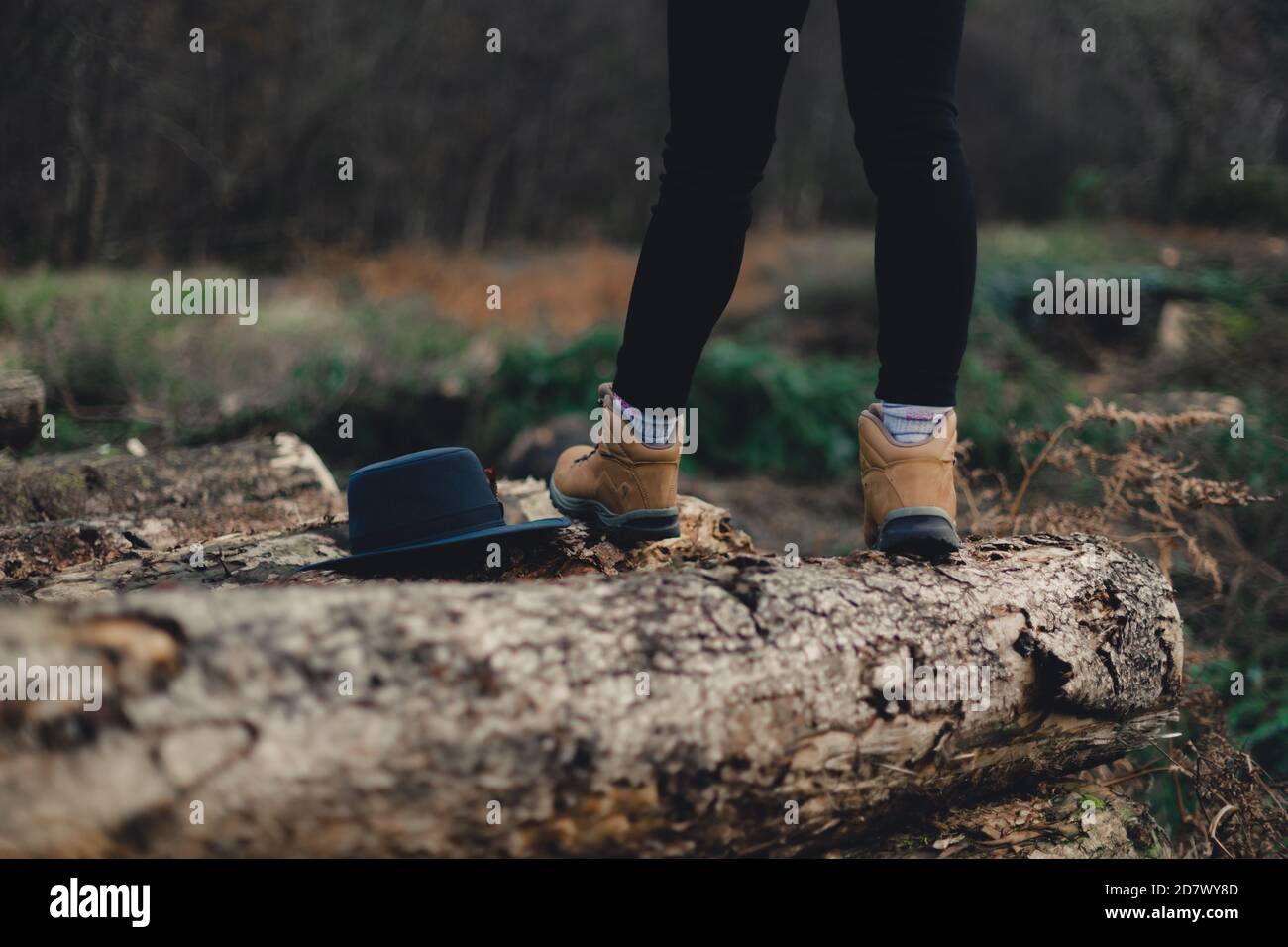 Porter des bottes de randonnée debout au-dessus des arbres en rondins Banque D'Images