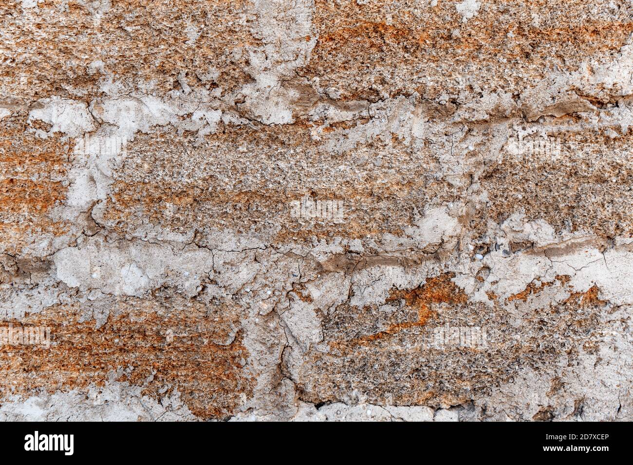 Texture rugueuse d'un mur de briques fait de coques, apparence.texturés Banque D'Images