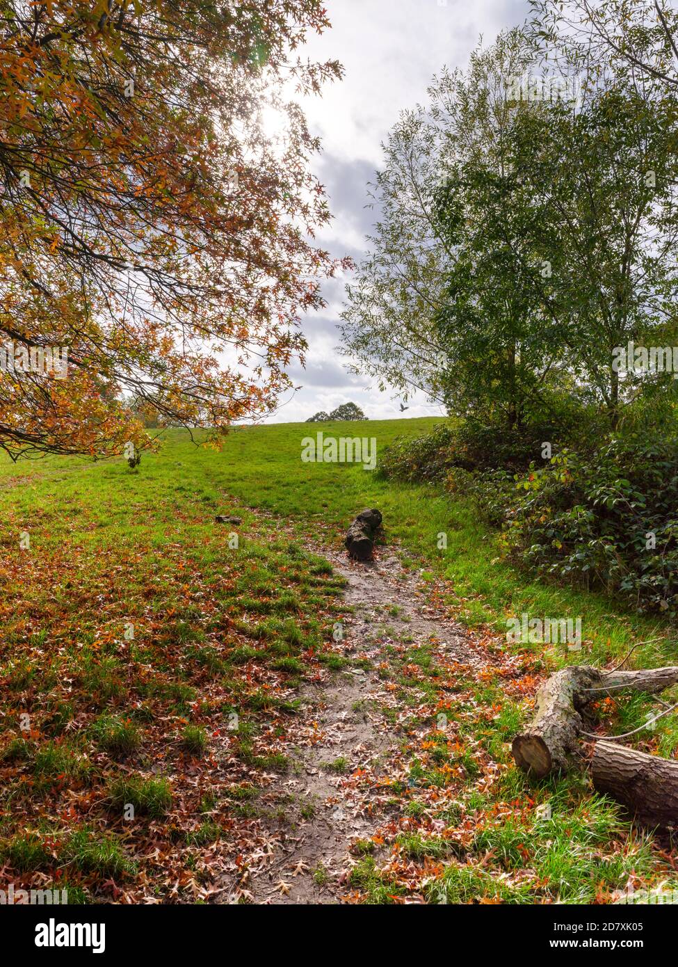 Hampstead Heath en automne, avec les feuilles sur les arbres tournant, un endroit idéal pour l'exercice et la santé pendant la pandémie et au-delà Banque D'Images