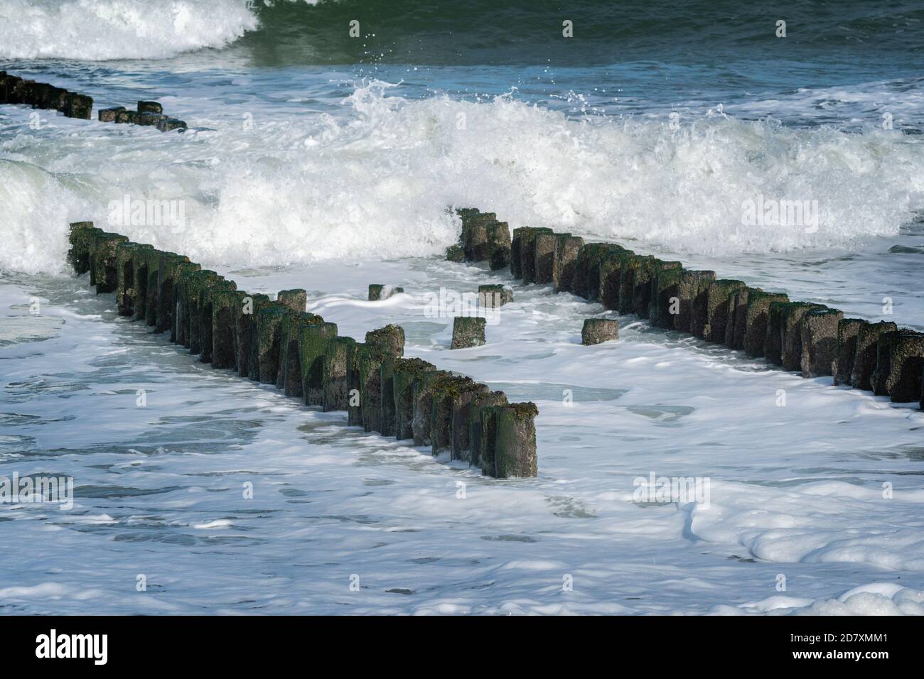 Double rangée de poteaux de brise-lames en bois entourés de vagues sur la côte de la mer du Nord à Westkapelle, Zeeland, pays-Bas. Banque D'Images