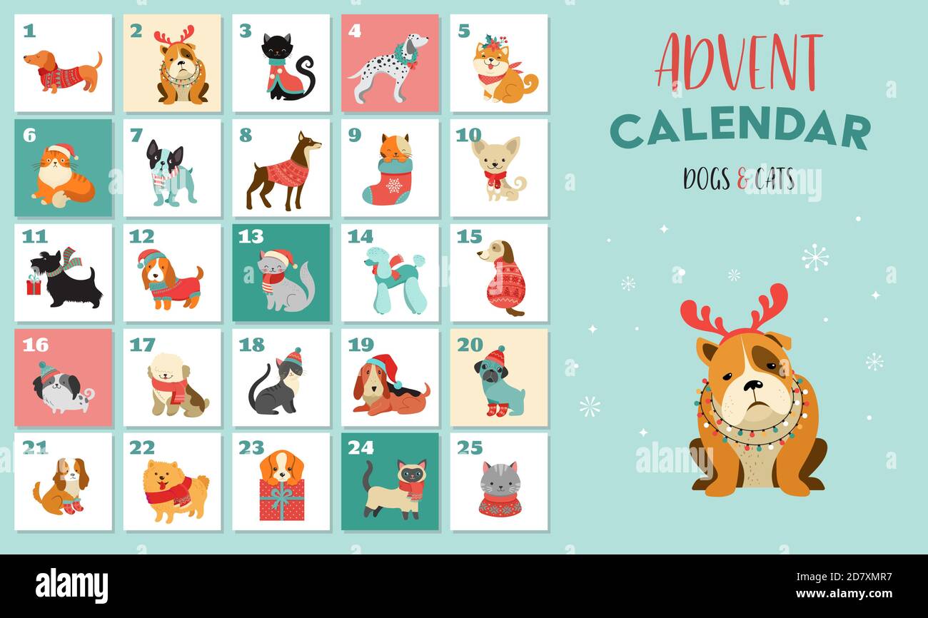 Calendrier de l'Avent de Noël avec chiens. Affiche de Noël amusante avec chiots, chiens portant des vêtements d'hiver, accessoires de Noël Illustration de Vecteur