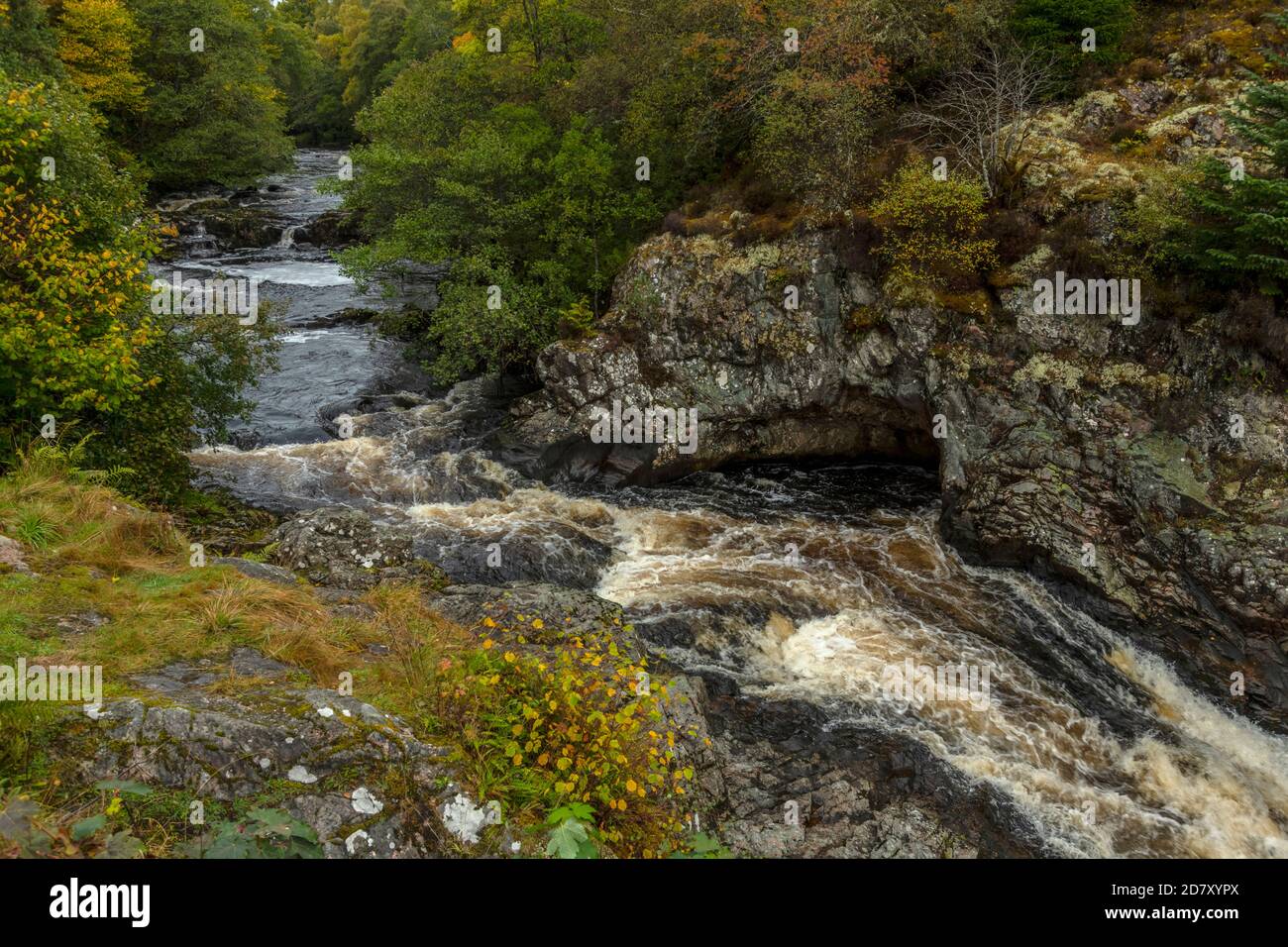 Les chutes de Shin sur la rivière Shin, près de Lairg en automne, Highland Scotland. Banque D'Images