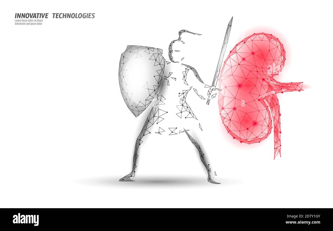 Protection contre les reins humains en poly 3D faible. Technologie de récupération de la médecine concept de médecine de médicament. Illustration vectorielle Illustration de Vecteur