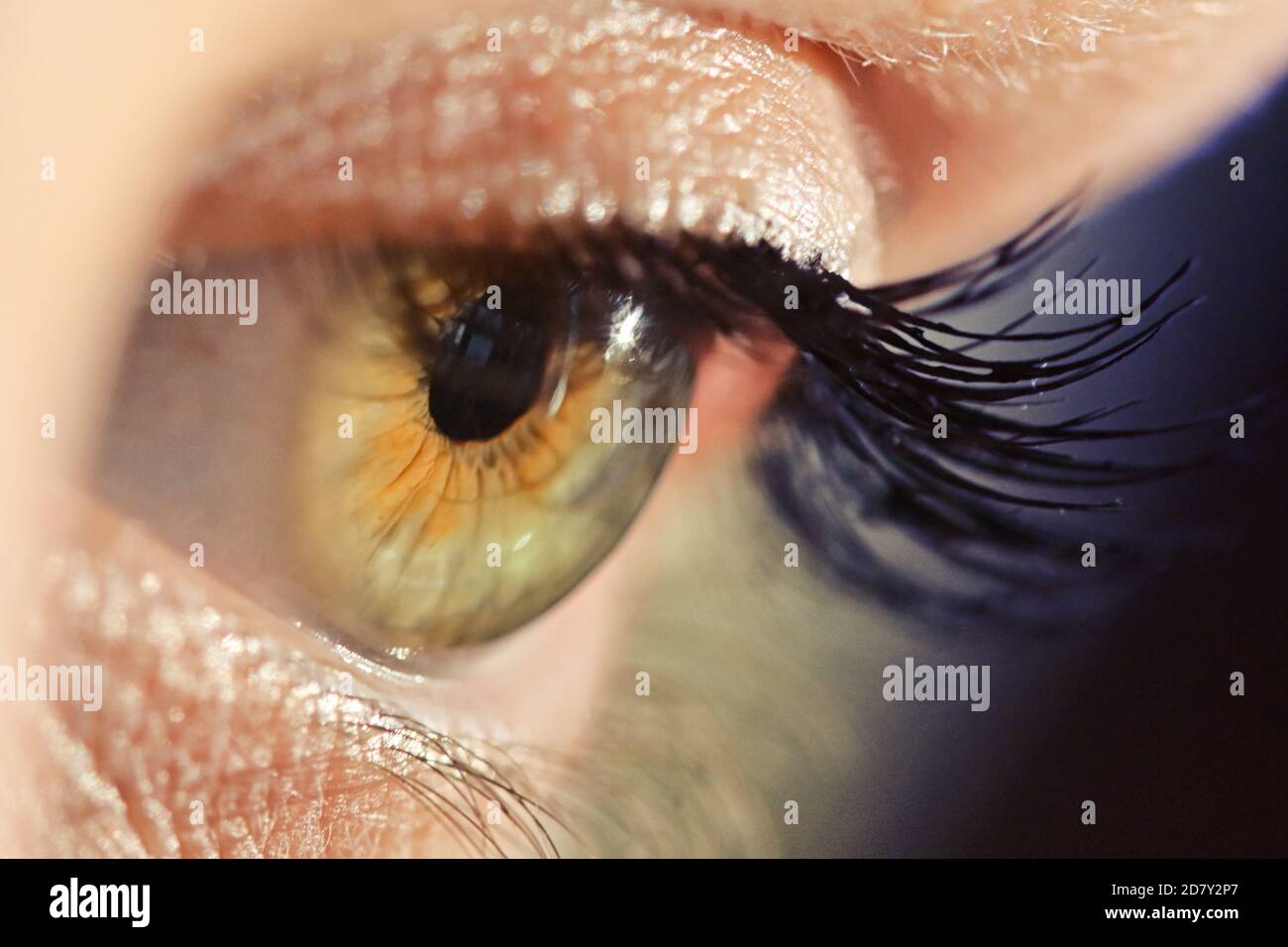 Détails de la vue macro Human Eye avec lumière naturelle Banque D'Images