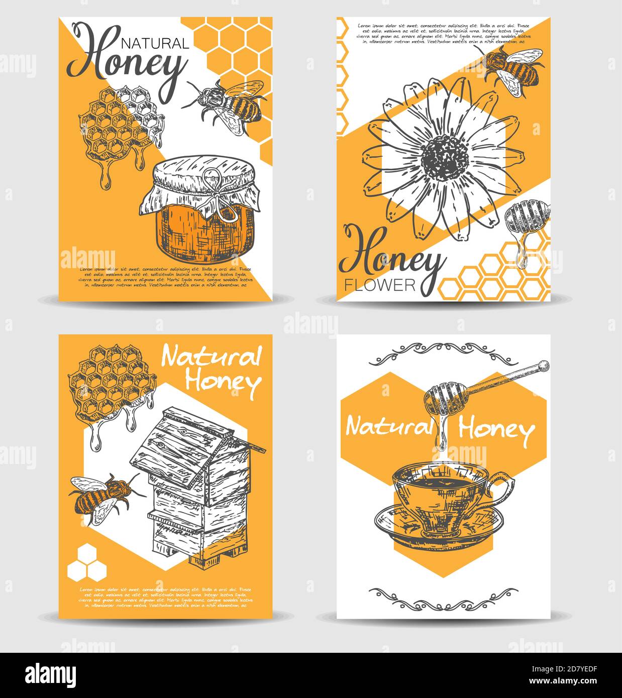 Ensemble de modèles de cartes à dessin main de vecteur miel naturel d'abeille Illustration de Vecteur