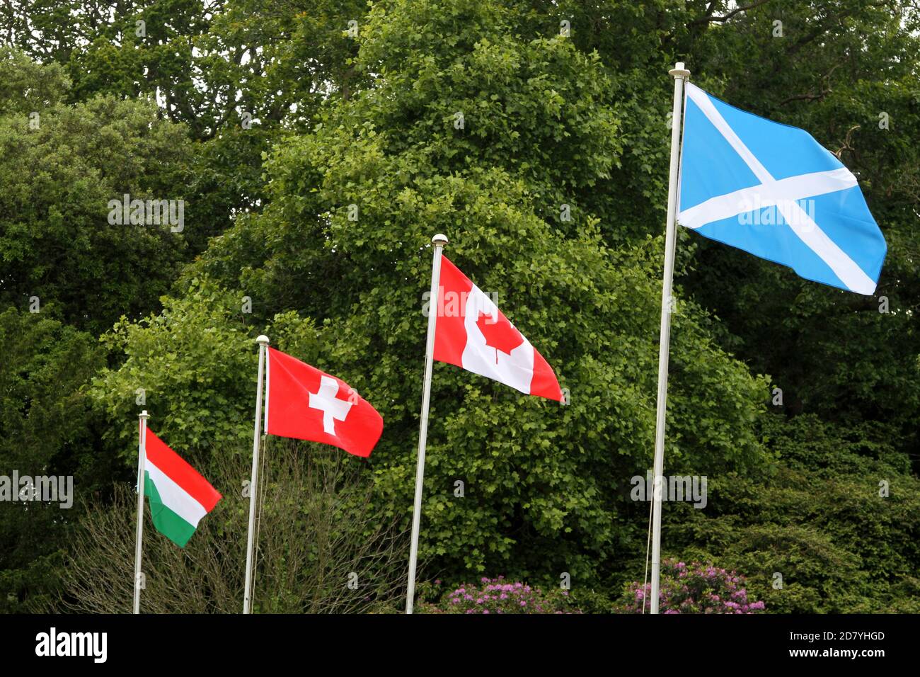 Ayr, Ayrshire, Écosse, Royaume-Uni . Les drapeaux internationaux volent à la compétition de golf, y compris hongrois, suisse, canadien, écossais Banque D'Images