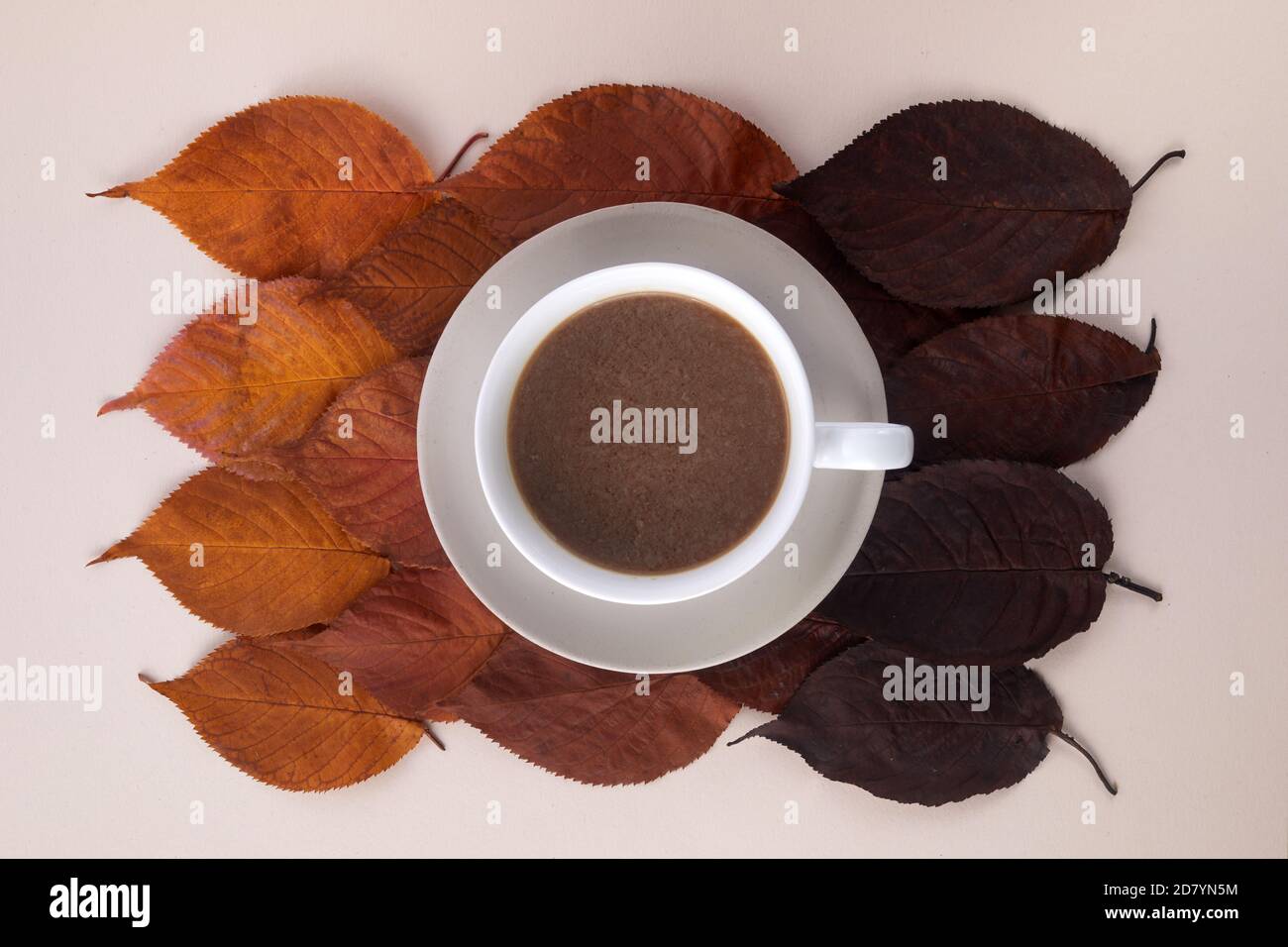 Tasse de café avec feuilles d'automne. Décoration d'automne, ambiance d'automne Banque D'Images