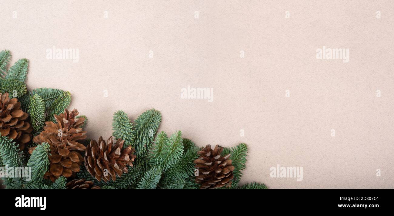 Carte de Noël bannière fond clair avec branches de sapin noble cadre de bordure en forme de cône de pin avec espace de copie pour le texte Banque D'Images