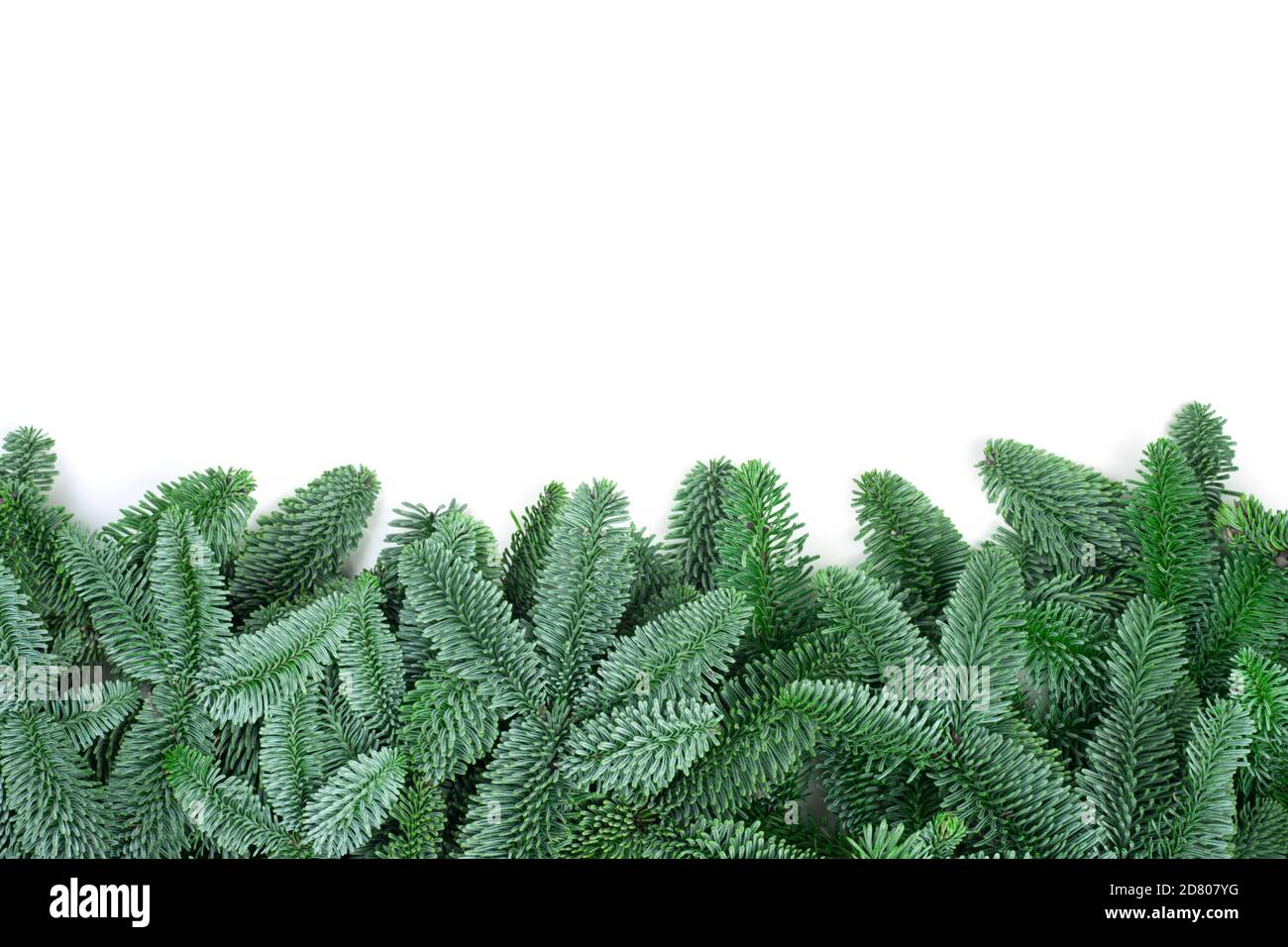 Cadre de Noël traditionnel vert sapin noble cadre isolé espace de copie de fond blanc pour le texte Banque D'Images