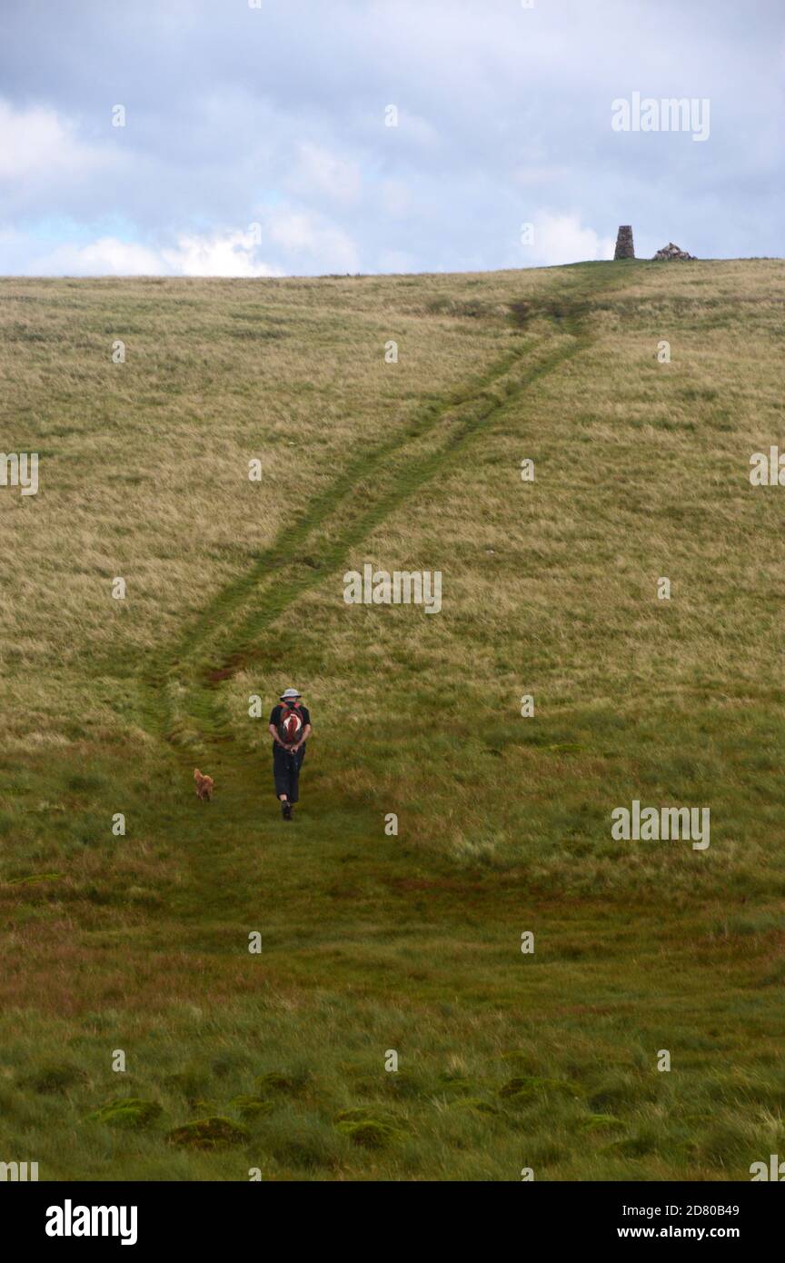 Man Walking on Path with Dog to the Summit Cairn on the Wainwright 'Lank Rigg' Lake District National Park, Cumbria, Angleterre, Royaume-Uni. Banque D'Images