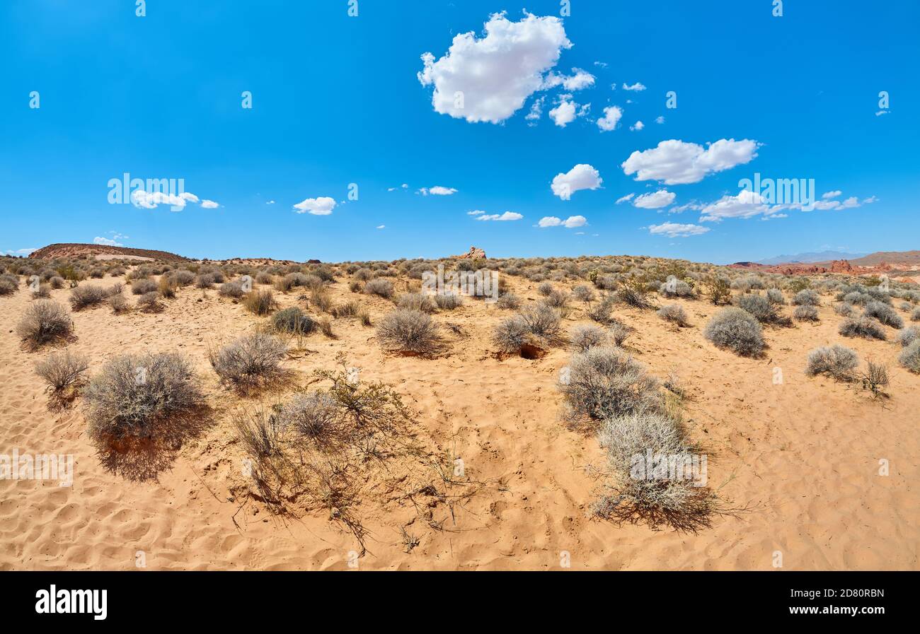 Vue panoramique sur un désert, Nevada, États-Unis. Banque D'Images