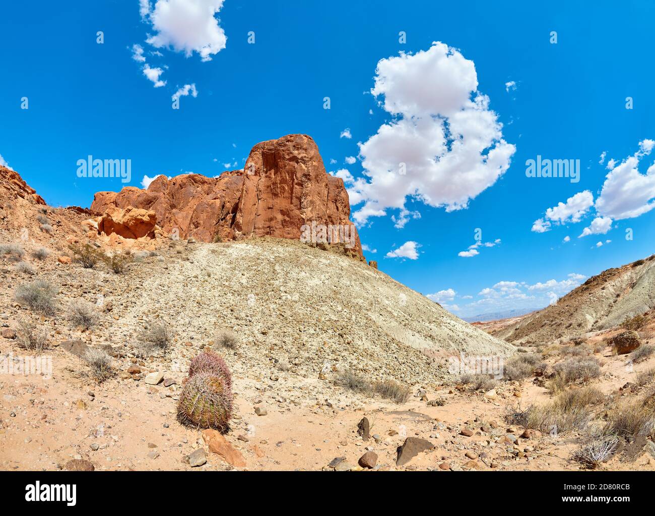 Vue sur un désert dans le Nevada, États-Unis. Banque D'Images