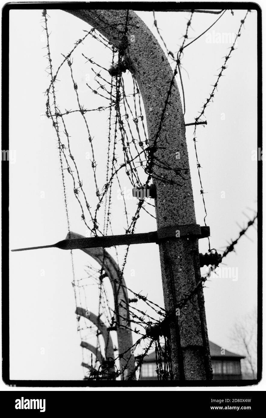 Buchenwald, littéralement forêt de hêtres) était un camp de concentration nazi établi sur la colline d'Ettersberg près de Weimar, en Allemagne, en juillet 1937. Sur la porte principale, la devise jedem das Seine (Anglais: 'À chacun son propre'), a été inscrite. Le SS a interprété cela comme signifiant que la 'course de maître' avait le droit d'humilier et de détruire les autres. C'était l'un des premiers et des plus grands camps de concentration à l'intérieur des frontières de l'Allemagne en 1937. De nombreux communistes, réels ou présumés, ont été parmi les premiers internés. Les prisonniers venaient de toute l'Europe et de l'Union soviétique—Juifs, Polonais et autres Slaves, mentalement malades et physiquement Banque D'Images