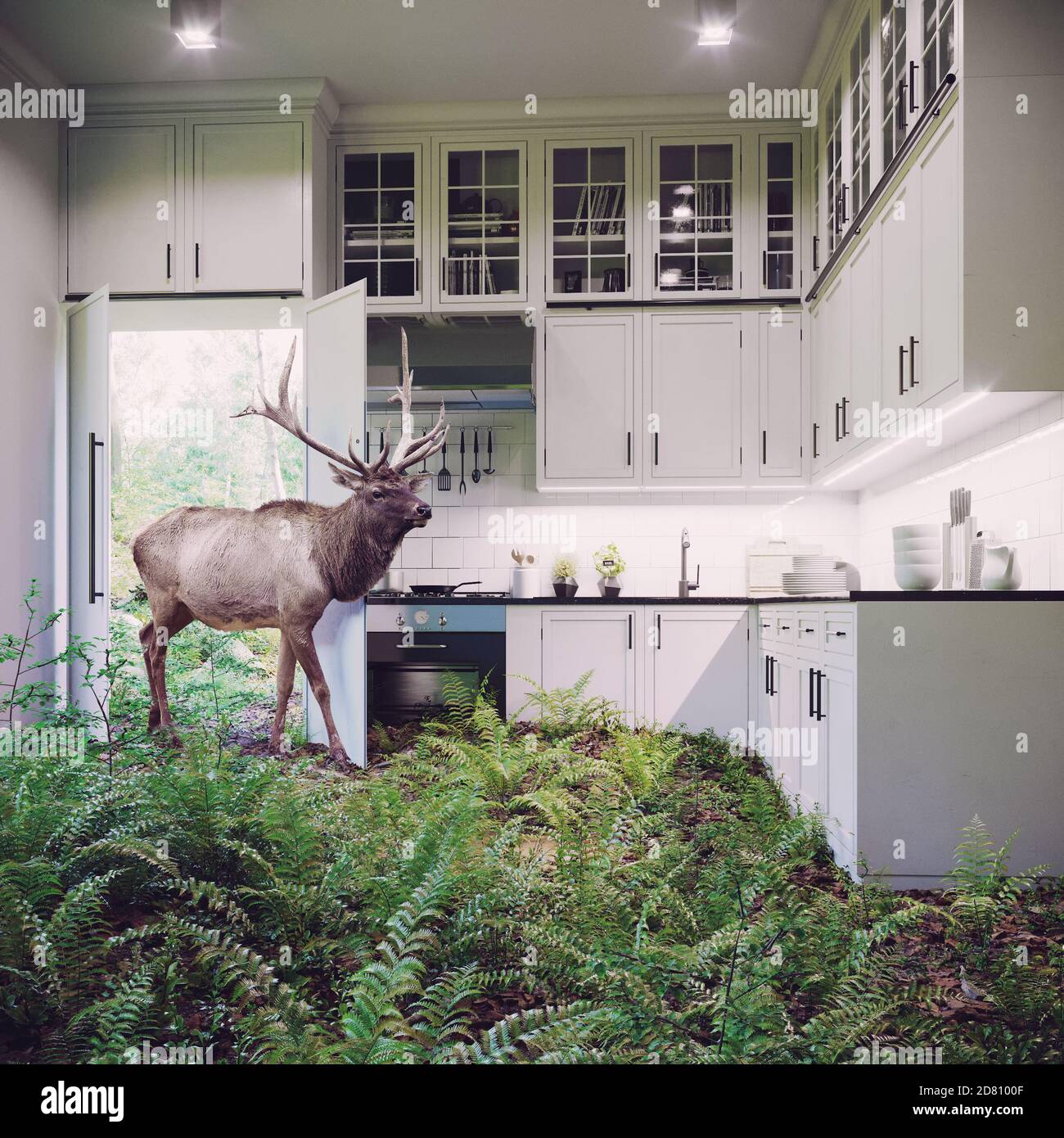 Deer vient à l'intérieur de la cuisine. Illustration créative Media mix Banque D'Images