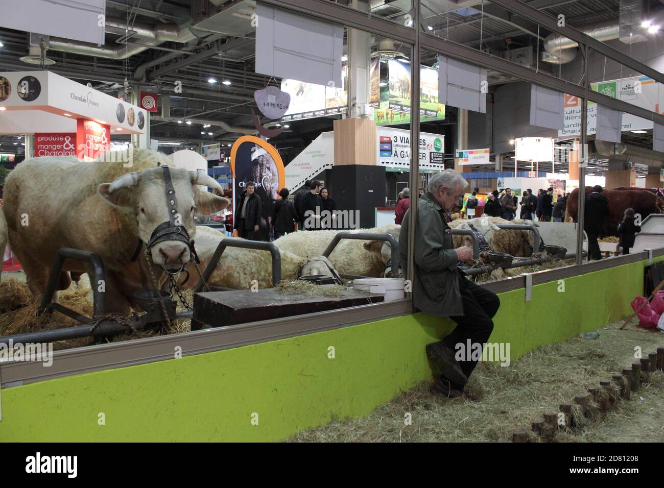 Un agriculteur assis à côté de son bétail. Salon agricole de Paris 2014 Banque D'Images