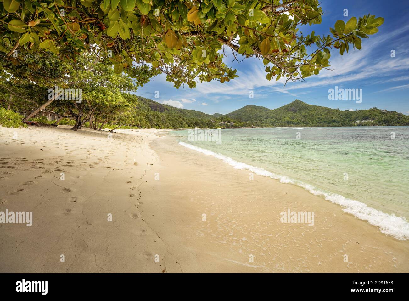 Plage de palmiers de sable de corail tropical célèbre Baie Lazare, Seychelles, île de Mahé, océan Indien. Plage de sable de corail et végétation luxuriante. Un touriste céleste de Banque D'Images