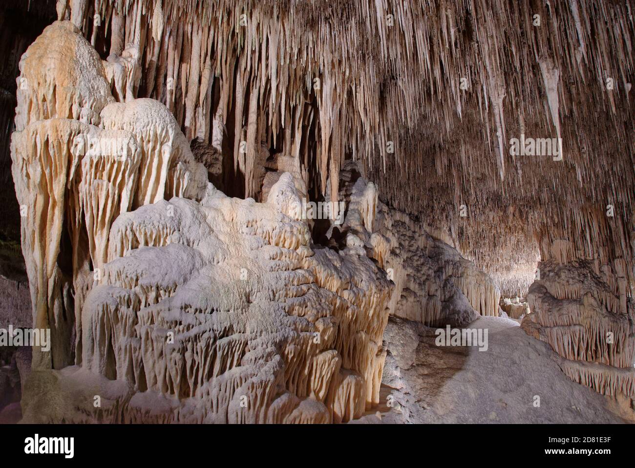 Grotte de calcaire avec colonnes ornées formées par des stalactites suspendues et des stalagmites montantes coalescents, grottes de Drach / Cuevas del Drach, Majorque. Banque D'Images