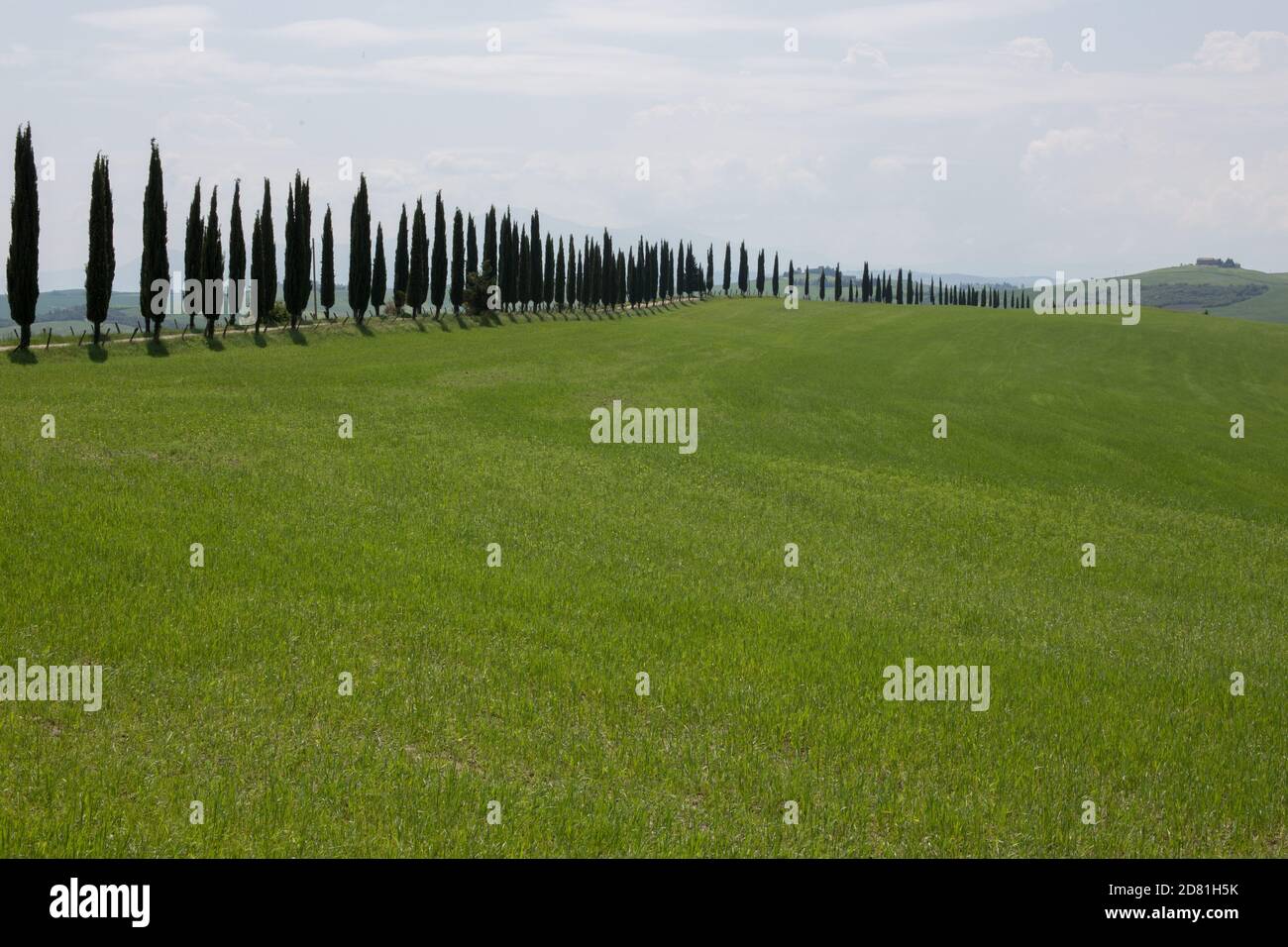 Toscane, Italie, Europe - 08 mai 2018 : paysage rural des cyprès de Sienne et Florence, dans le val d'Orcia Banque D'Images