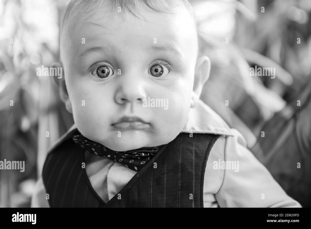 Portrait Noir Et Blanc De Bebe Petit Garcon Mignon Dans Des Vetements Habilles Avec Noeud Avec Curiosite Et Large Yeux Ouverts Photo Stock Alamy