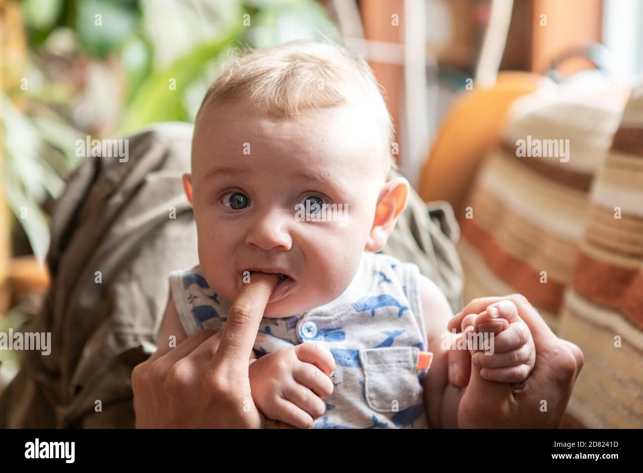 Portrait de tout-petit bébé garçon mignon faisant le visage et obtenant tout en piquant le doigt de son père et en se détendant avec lui plus d'un canapé à la maison Banque D'Images