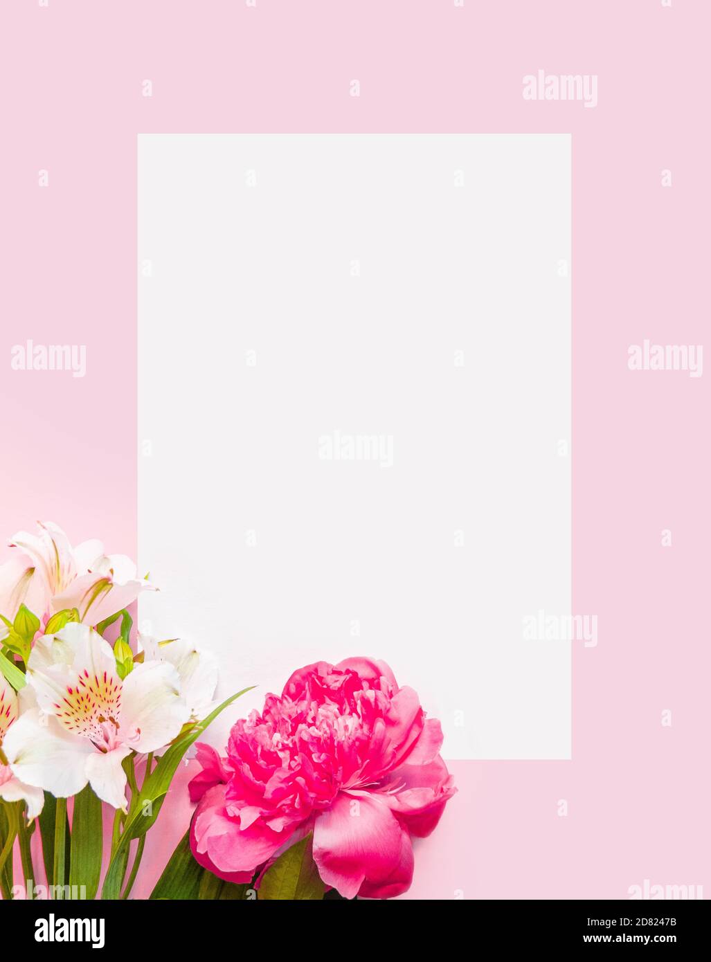 Papier blanc modèle vierge format A4 avec fleurs sur fond rose plat. Espace  pour le texte. Placer pour le texte. Créer une invitation. Carte de vœux  Photo Stock - Alamy
