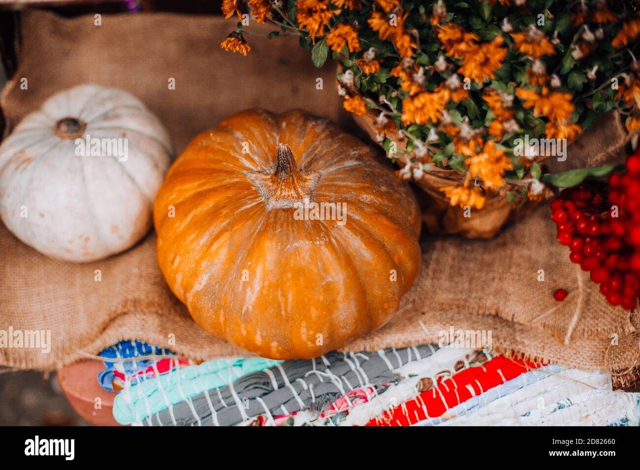 Décoration d'automne avec citrouilles et fleurs Banque D'Images