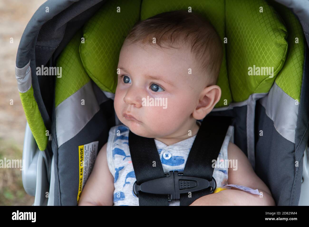 Portrait D Un Petit Bebe Garcon Mignon Assis Dans Un Cadre Moderne Bebe Avec Ceinture De Securite Attachee Pour Plus De Securite Tout En Regardant Loin Et Penser Photo Stock Alamy