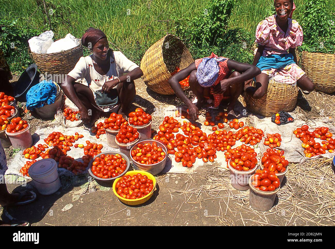 Marché rural par la route de Cap Haïtien, Haïti Banque D'Images