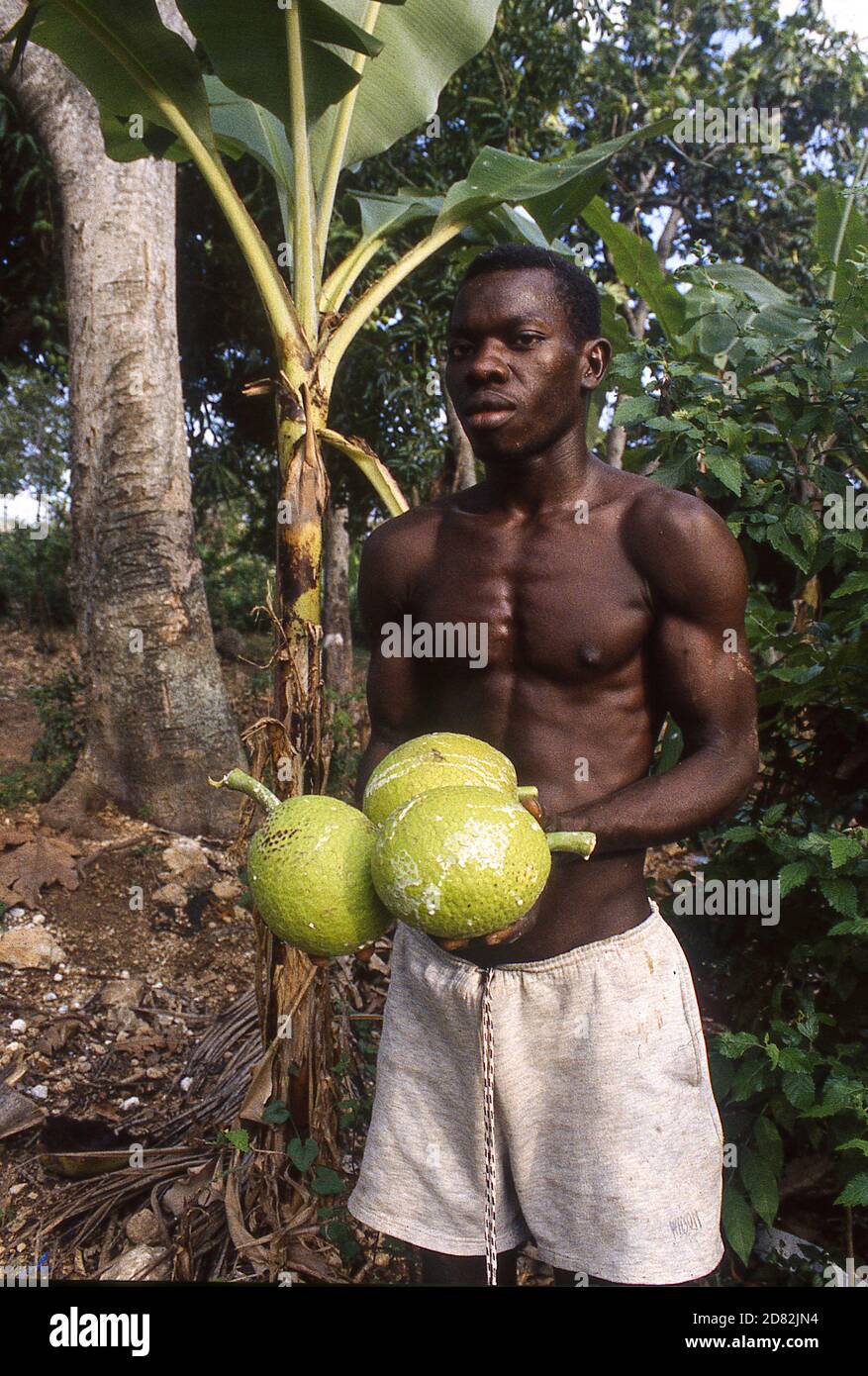 Homme transportant des fruits haïtiens Banque D'Images