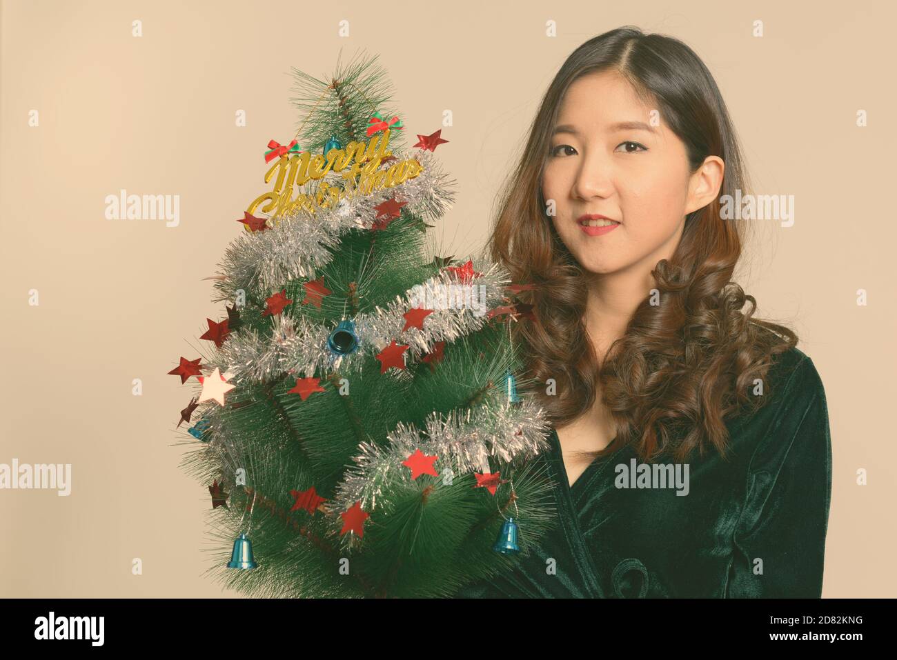 Young happy Asian woman holding Merry Christmas Tree Banque D'Images