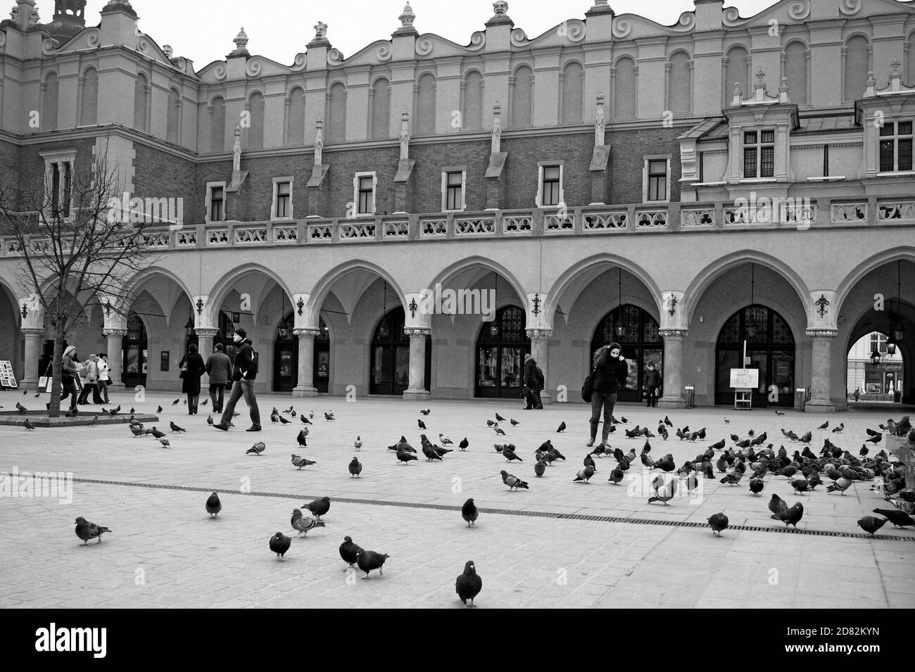 Conçu en 1257, les piétons et les pigeons partagent la place du marché principal, devant la salle de tissus de Cracovie, en Pologne, sur 10 janvier 2010. Banque D'Images
