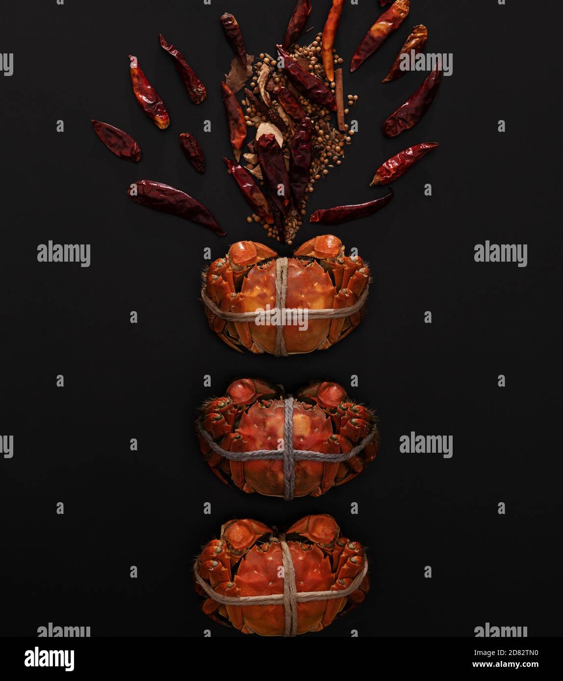 Crabe poilu bouilli de Shanghai ou crabe chinois (Eriocheir sinensis) Avec Chili et herbe sur fond noir Banque D'Images