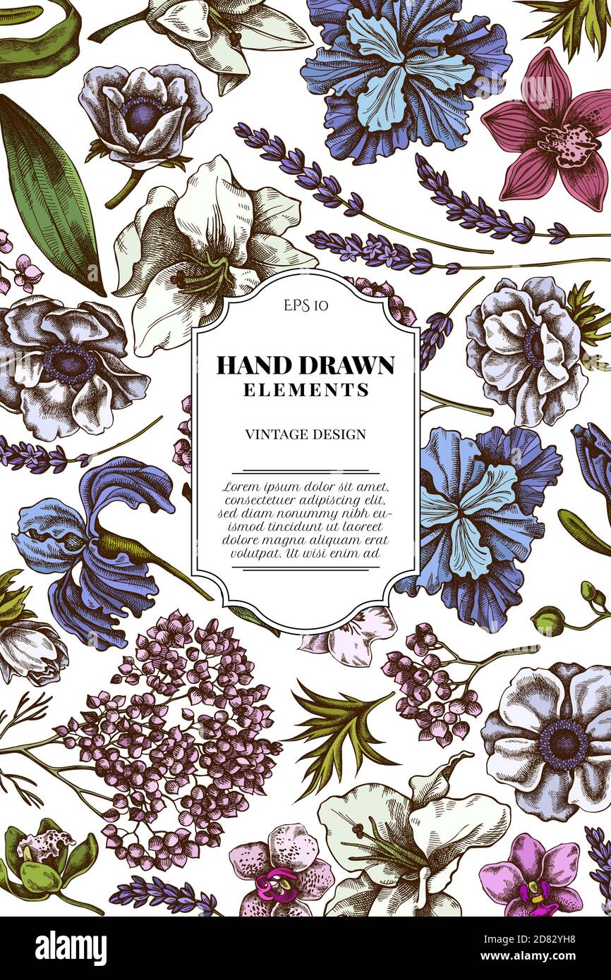 Motif carte avec anémone coloré, lavande, romarin éternel, phalaenopsis, lis, iris Illustration de Vecteur