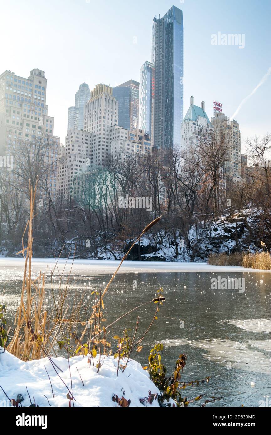 Central Park New York en hiver Banque D'Images
