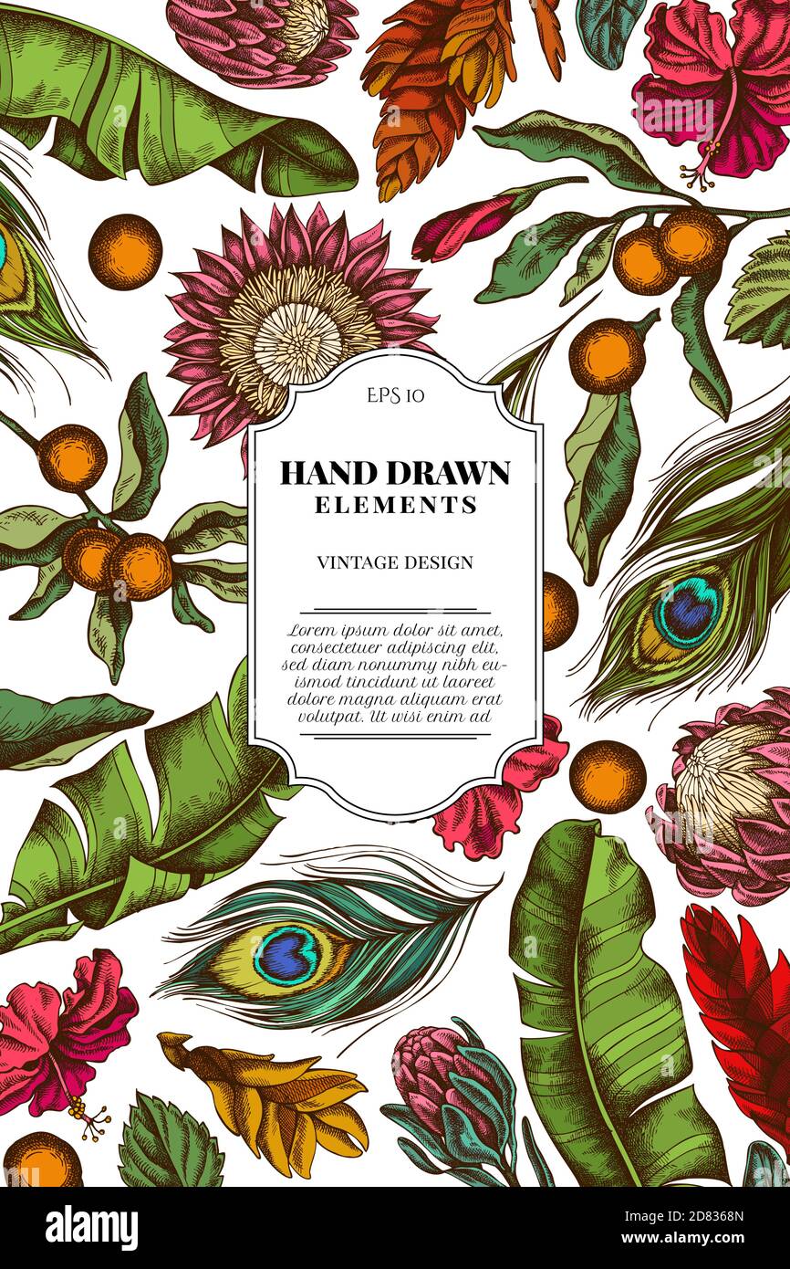 Motif carte avec feuilles de palmier de banane de couleur, hibiscus, solanum, broméliade, plumes de paon, protea Illustration de Vecteur