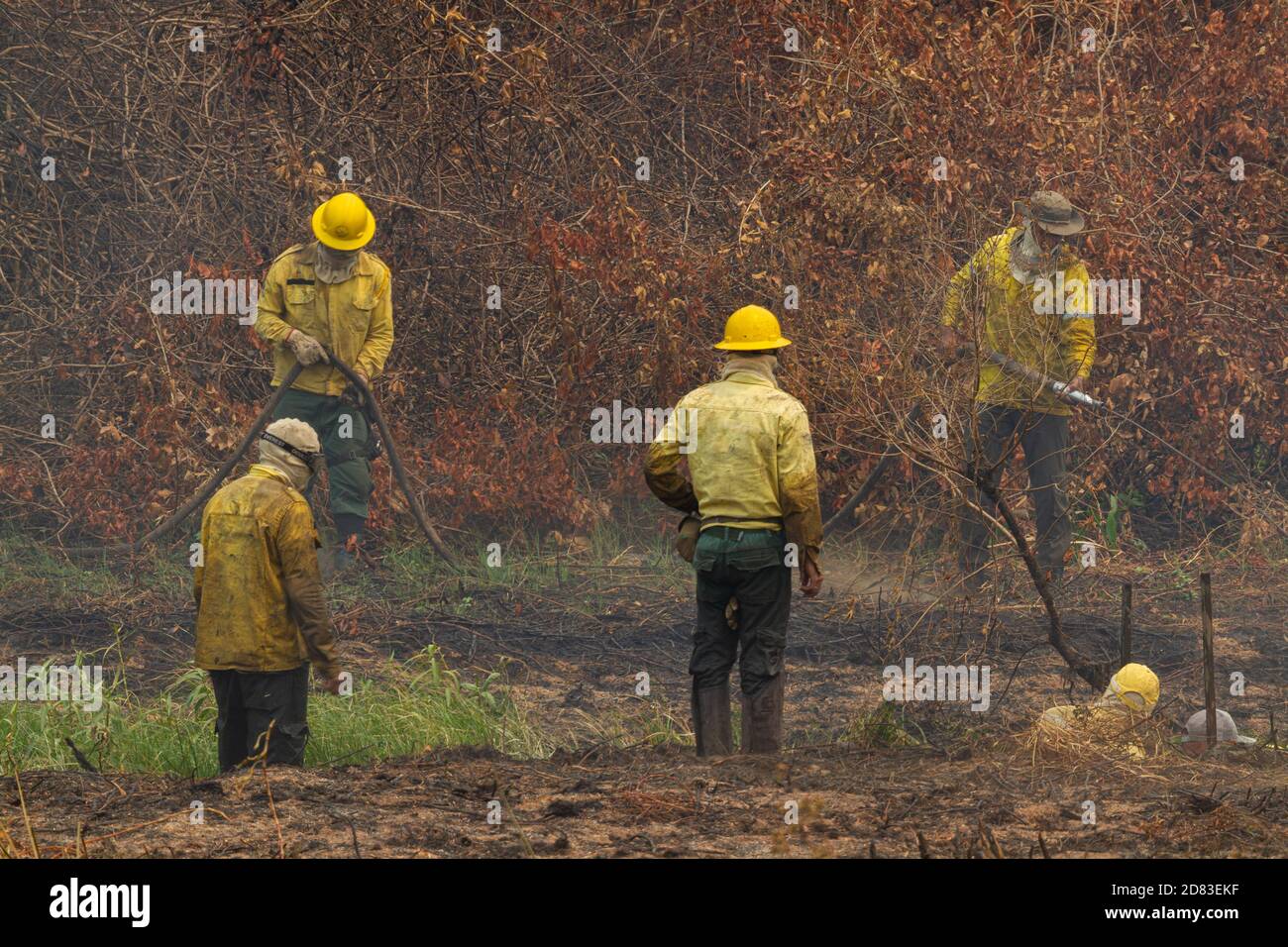 Pompiers luttant contre le grand incendie dans le Pantanal brésilien Banque D'Images