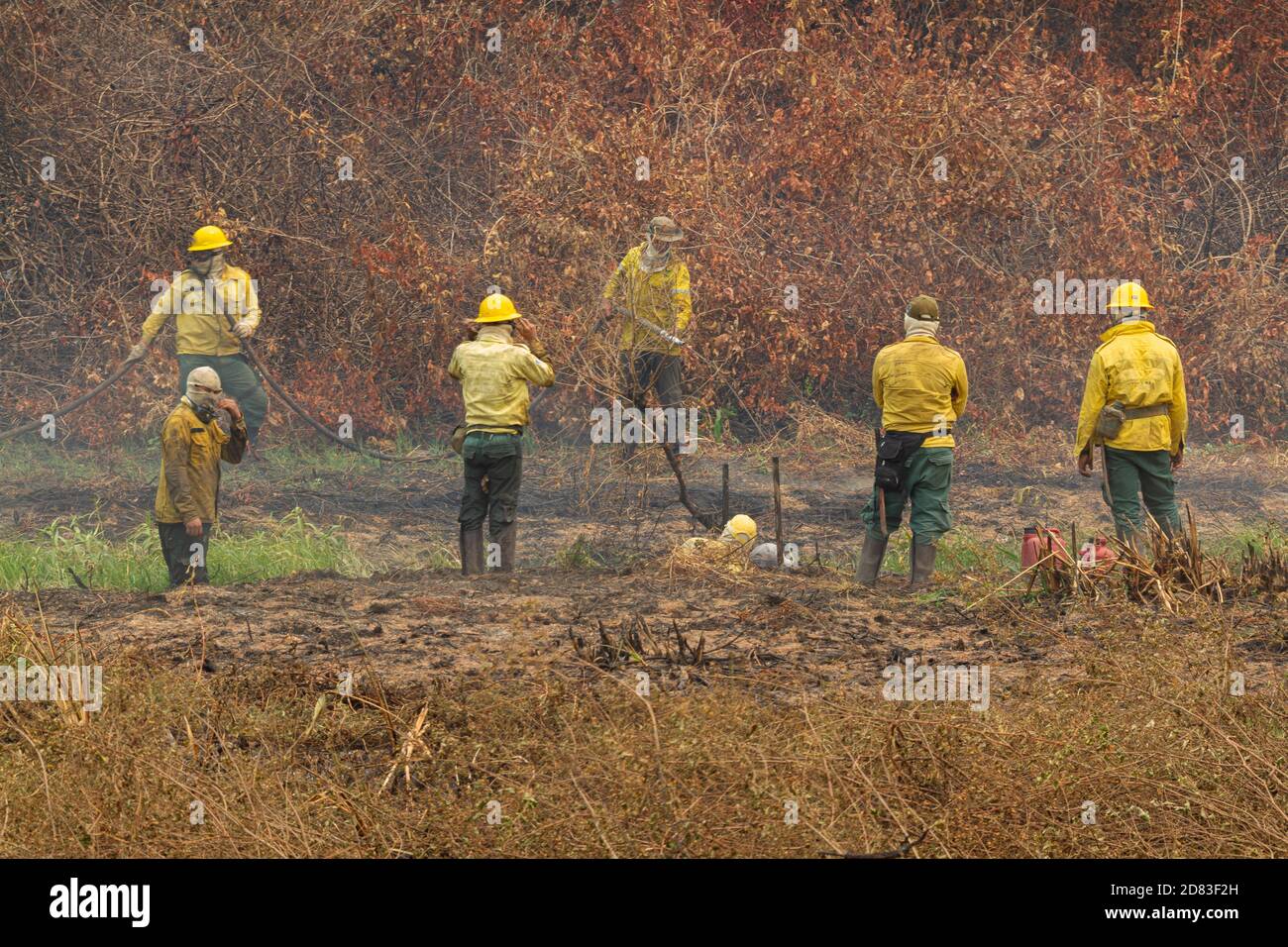 Pompiers luttant contre le grand incendie dans le Pantanal brésilien Banque D'Images
