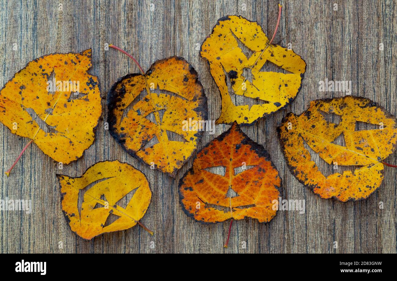 Feuillage sec sur fond de bois. Sur les feuilles a fait un masque effrayant. vacances d'Halloween Banque D'Images