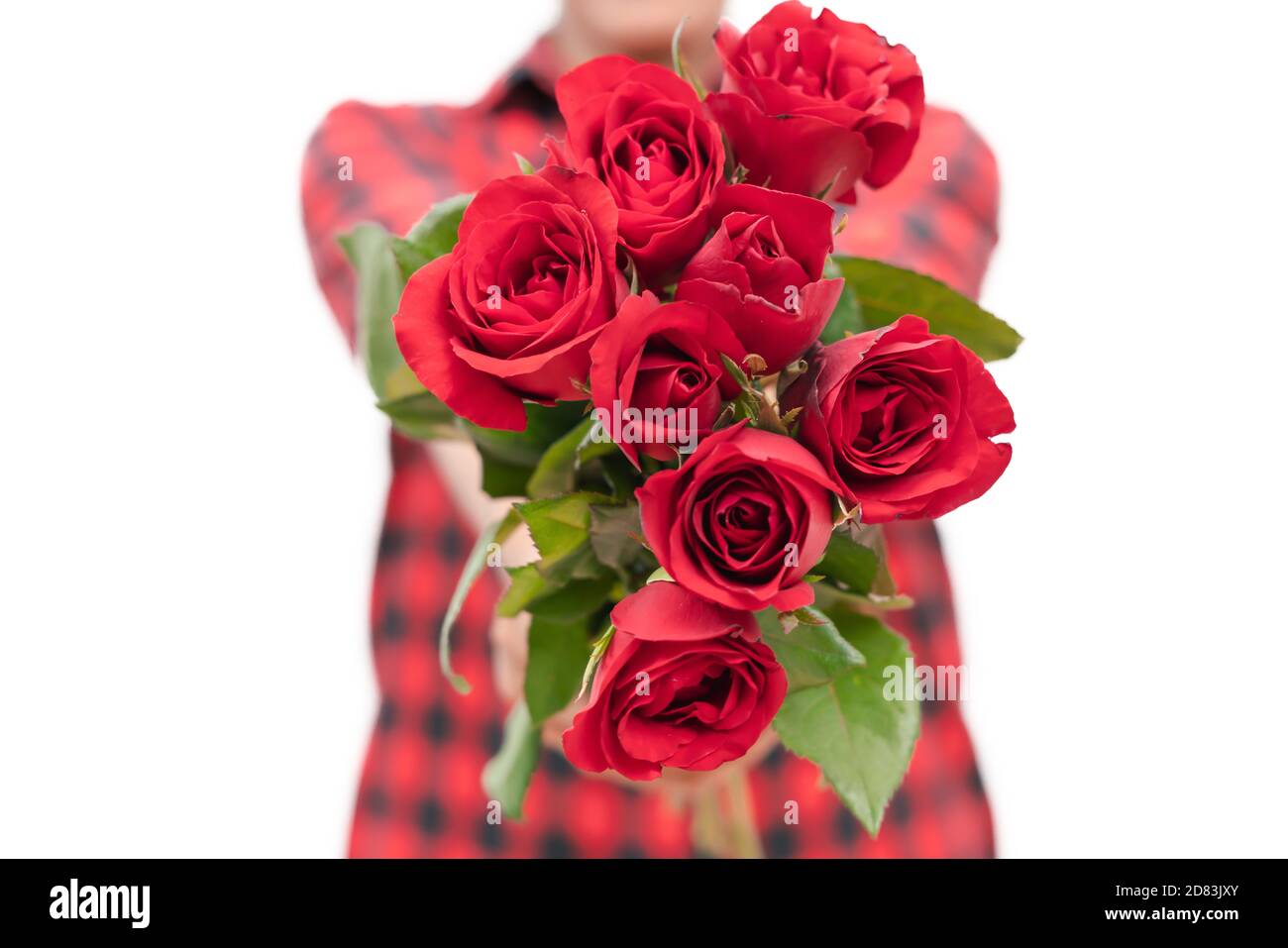 La rose rouge est un symbole d'amour. La fille a tenu beaucoup de roses  rouges pour envoyer un cadeau à son amant le jour de la Saint-Valentin.  Femmes avec la fleur sur