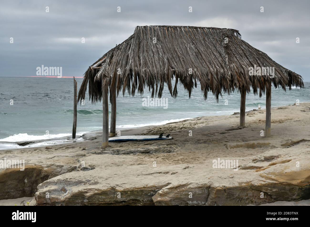 Le Windansea Surf Shack est un shack couvert de palmiers qui a été construit à l'origine en 1946 Banque D'Images