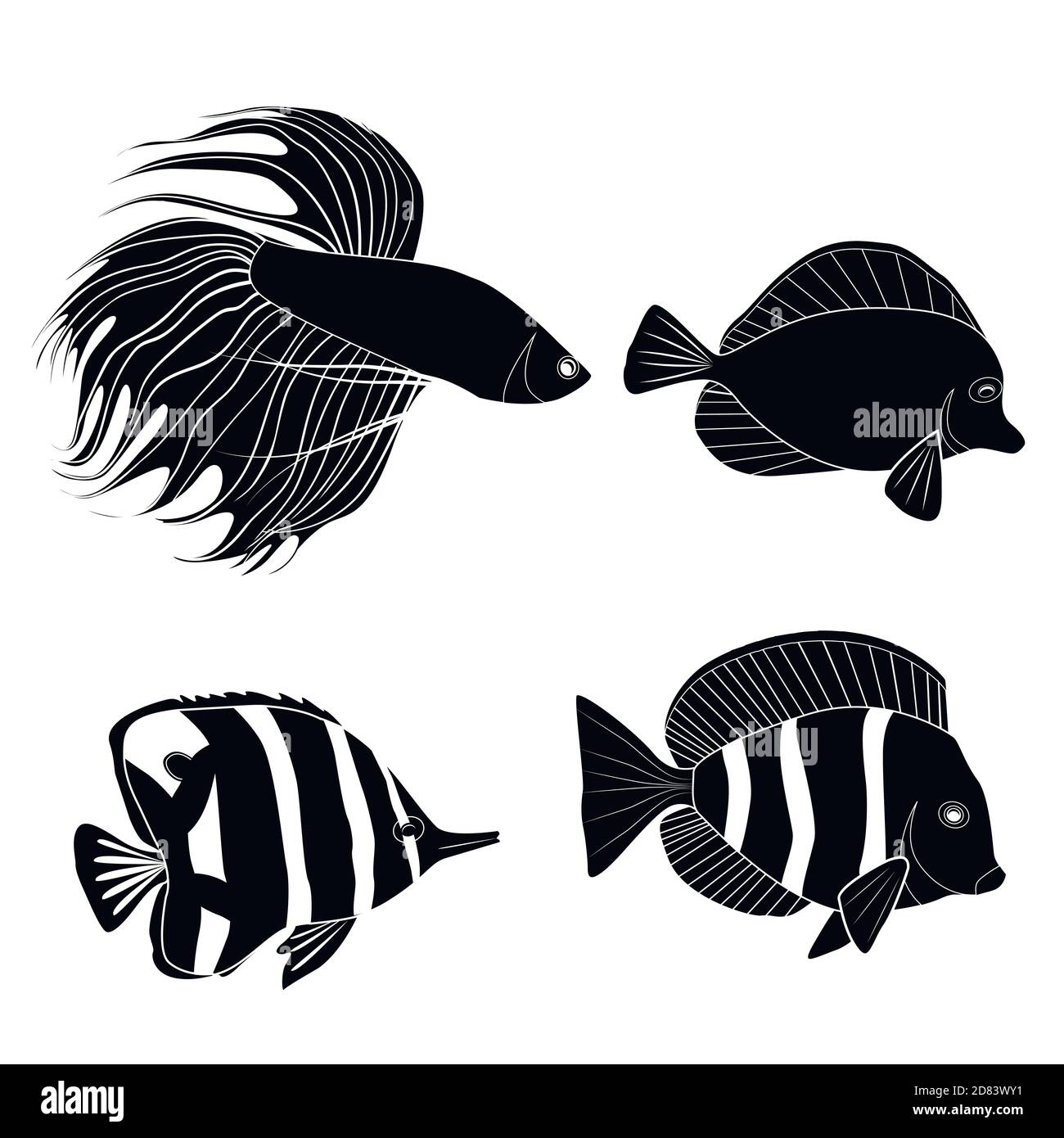 Ensemble de silhouette noire différents poissons tropicaux. Coq de poisson, poisson pennant, ange royal. Habitants marins. Silhouette vectorielle pour l'icône, le logo et vous Illustration de Vecteur