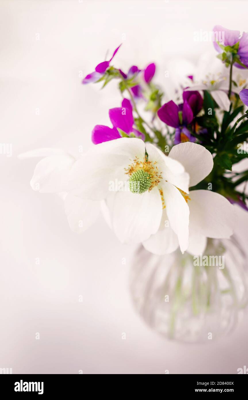bouquet de petites fleurs d'oignon blanc sauvage et pansies violettes dans un vase. mise au point sélective Banque D'Images