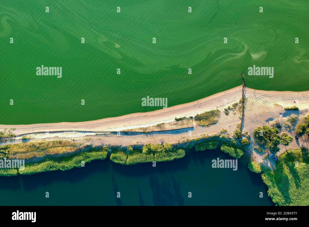 Saison de floraison des algues. Eaux vertes polluées d'un golfe peu profond en été, vue aérienne Banque D'Images