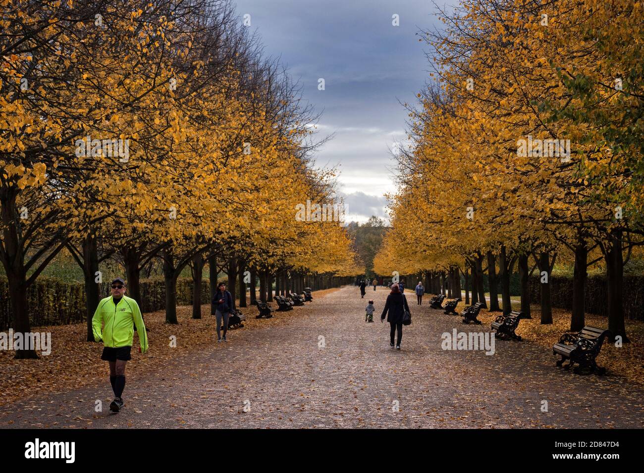 Grande Avenue en automne. Regents Park Londres Royaume-Uni Banque D'Images