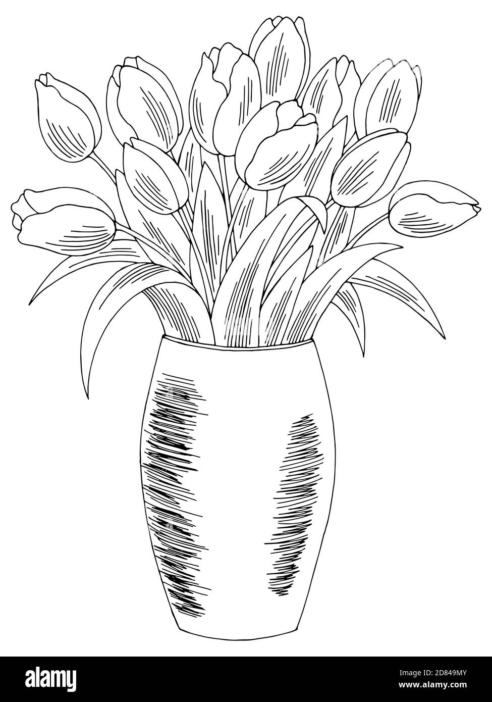 Vase tulipe fleur graphique noir blanc isolé bouquet d'esquisse illustration vecteur Illustration de Vecteur